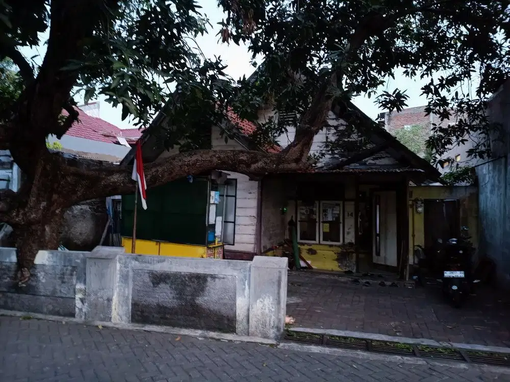 Pusponjolo Semarang Barat Rumah Lama Apa Adanya Lokasi Super Strategis