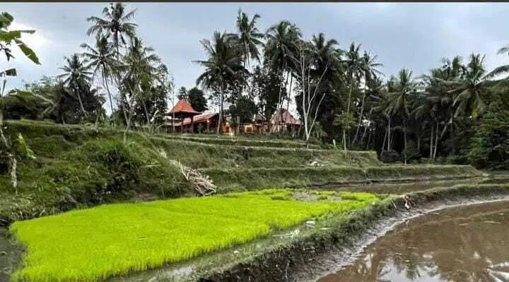 Dijual Murah Tanah View Terasiring di Cangkringan