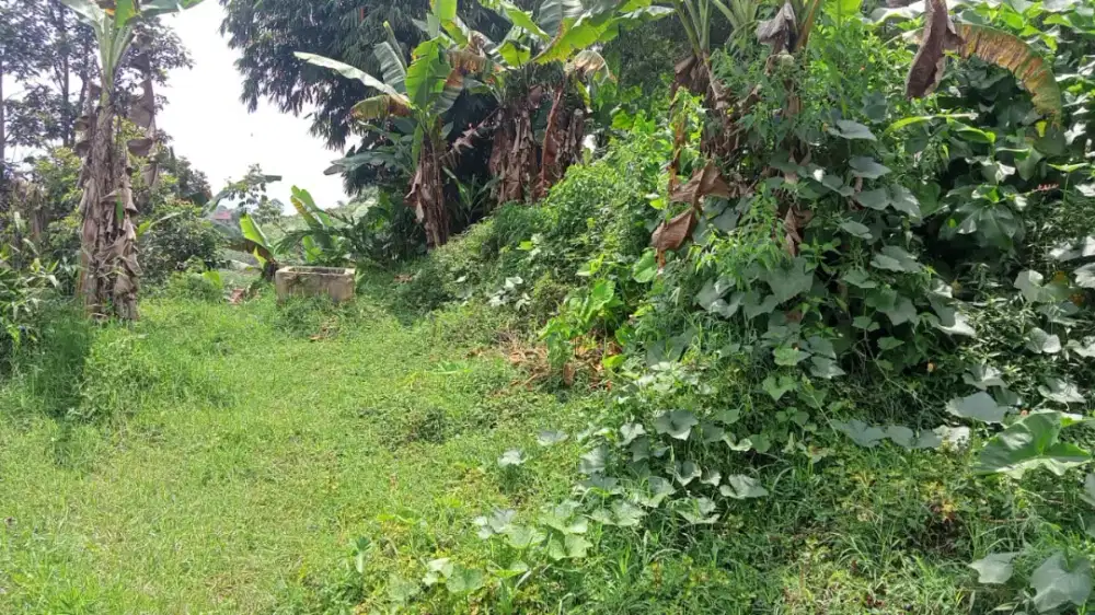 Dijual cepat tanah murah menghadap alun alun ciwidey