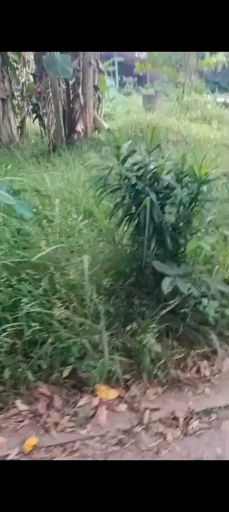 Dijual tanah darat luas 365mt jln masuk truk/cimuning mustika jaya Bek