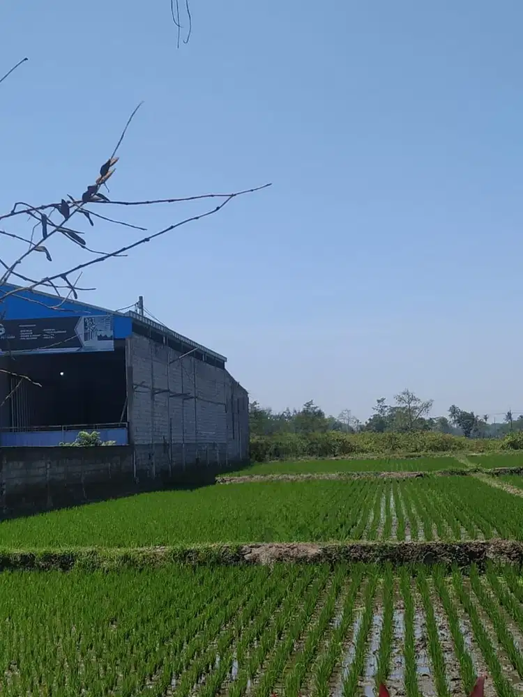 TANAH POROS JALAN RAYA KEPANJEN MALANG