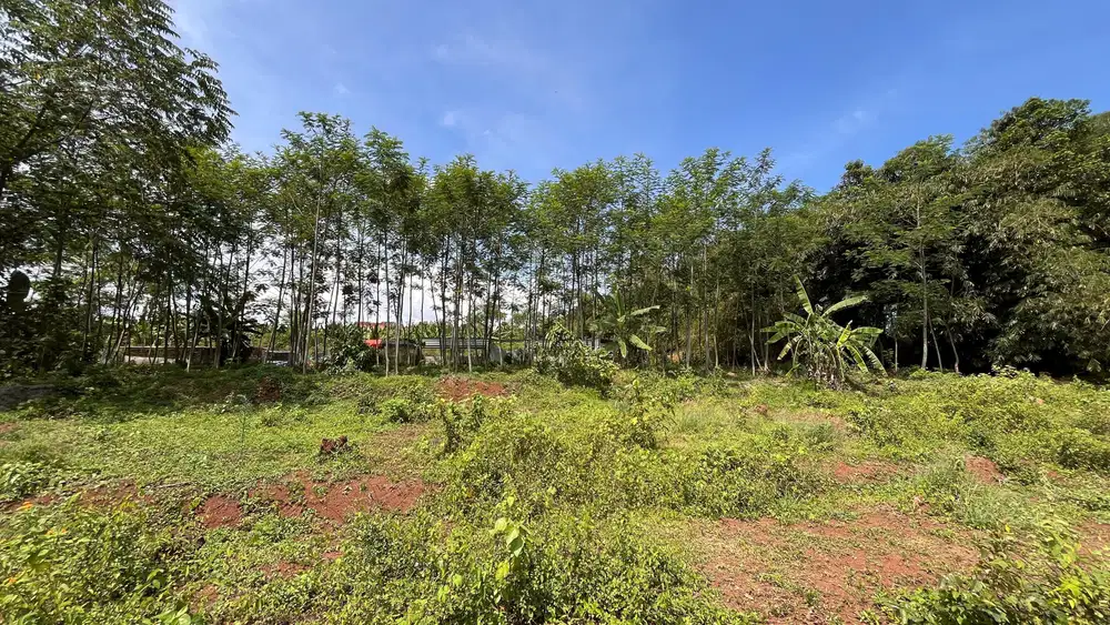 Dijual Tanah/Lahan Industri Luas 3.535 m² di Kawasan Strategis Pekalongan