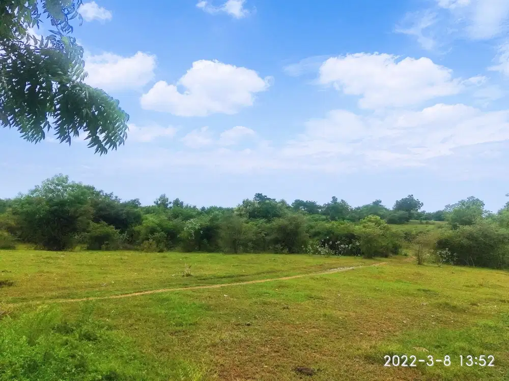 Dijual tanah 1,8ha di Jatisari Situbondo