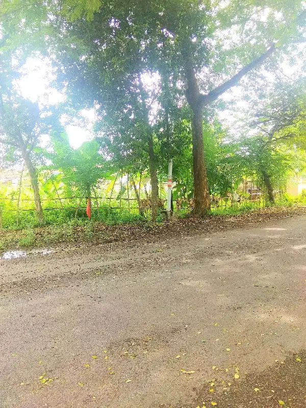 Dijual tanah di dekat Ketapang Banyuwangi