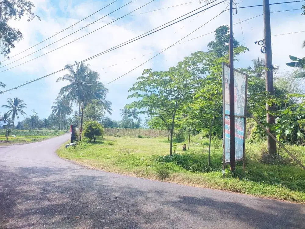 Dijual tanah di jln Raya Pakisan Pujer Bondowoso