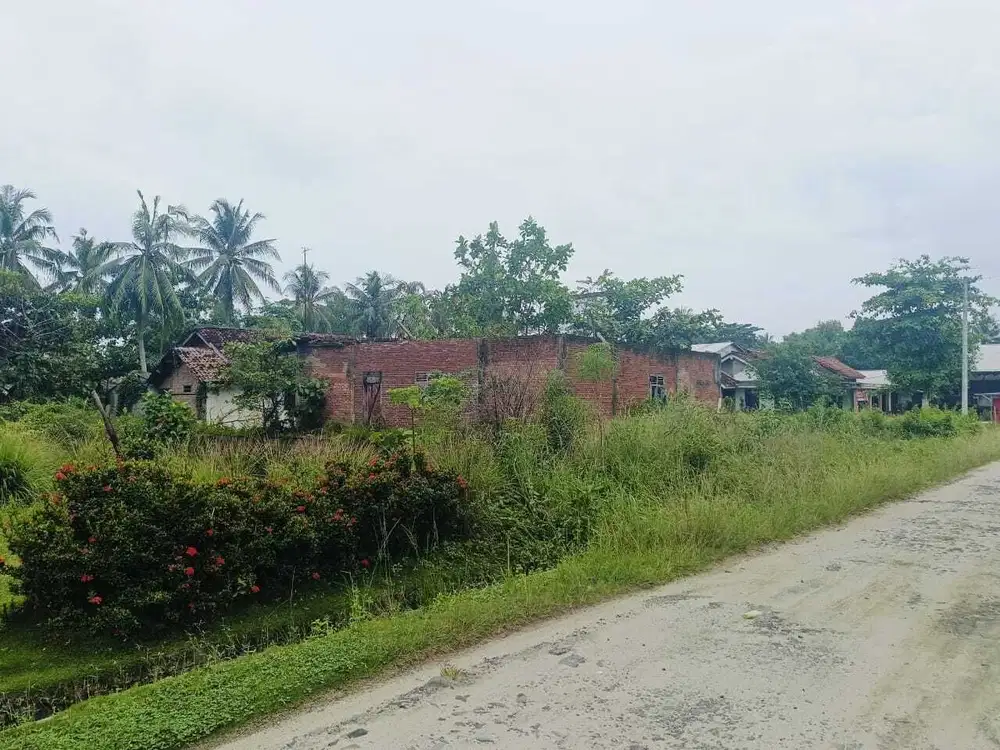 Dijual Tahan seluas 1.615 m² di Labuhan Maringgai - Lampung