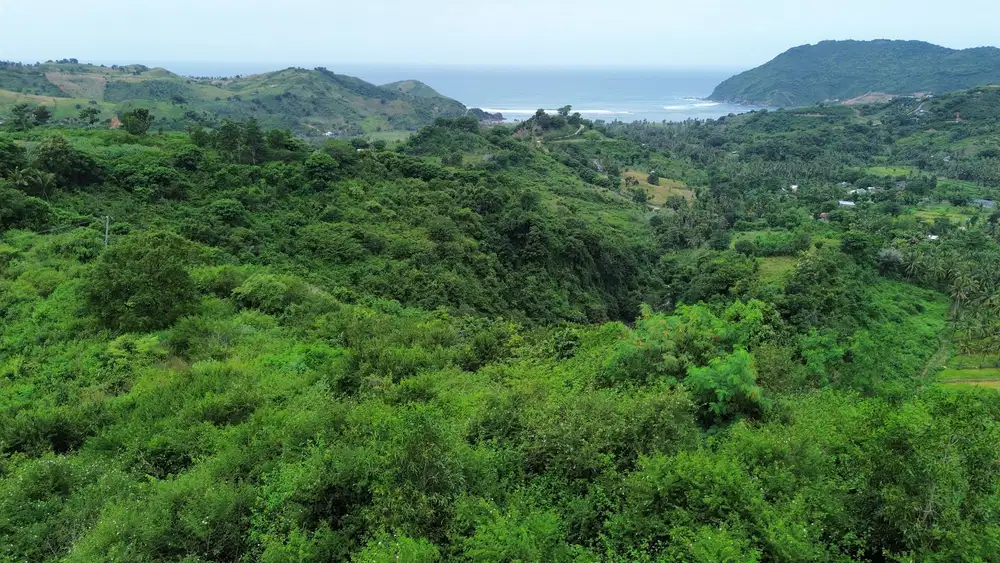 Tanah murah di central Kuta Mandalika Lombok full view