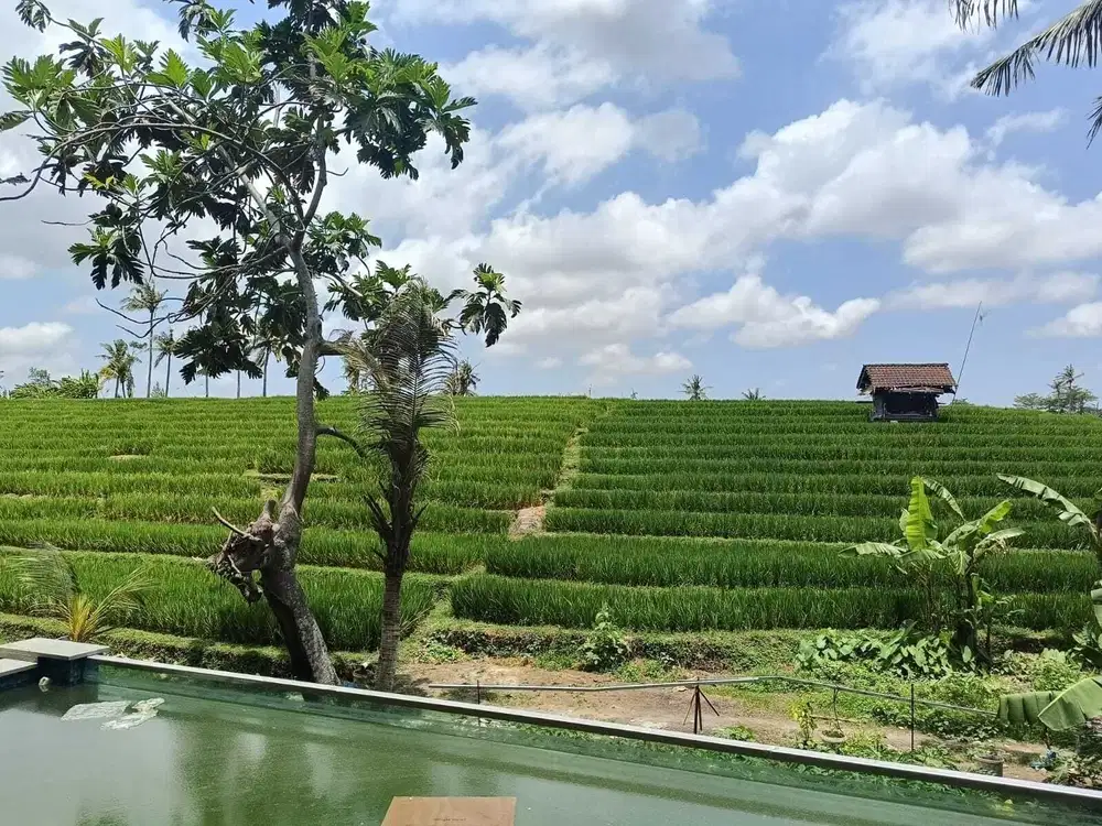 VILLA READY UNIT FURNISHED 2LT VIEW SAWAH LOKASI PERERENAN CANGGU - Thumbnail 2
