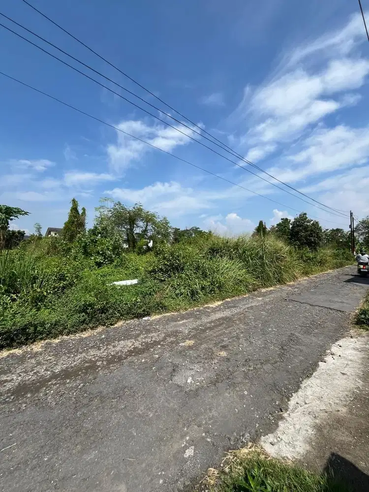 STRATEGIS TANAH CANTIK SHM PEKARANGAN DI MAGUWOHARJO www