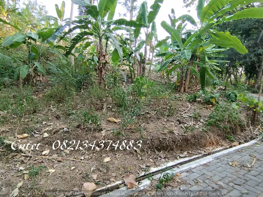 Tanah dijual murah dekat Greenwood Estate Semarang, harga 350 Ribuan