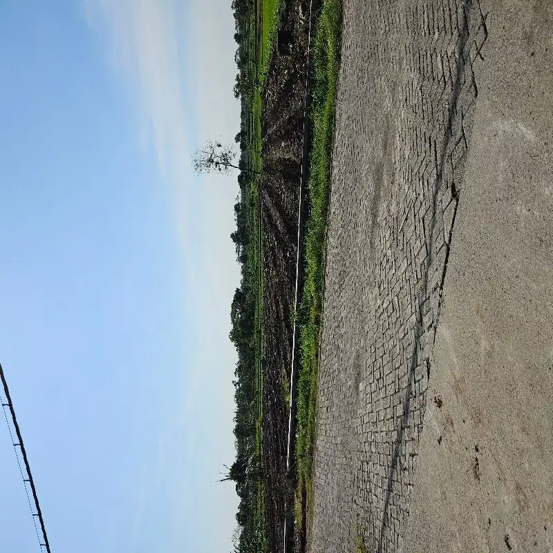 Tanah pinggir jalan poros desa balong panggang