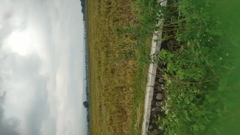 Jual tanah murah  Bagus untuk  usaha bengkel ,rumah hunian  kolam ikan