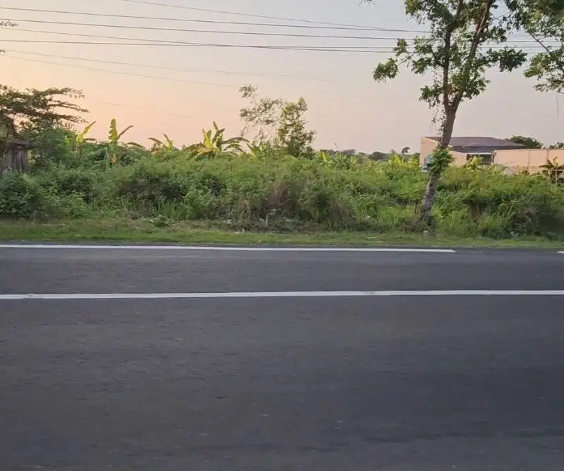 Tanah pinggir jalan raya mantup arah lamongan