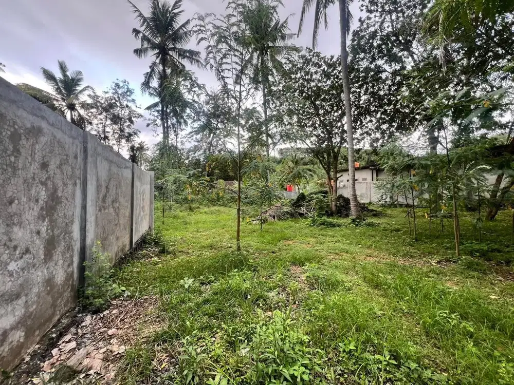 Tanah murah dekat central Kuta Mandalika Lombok. Cocok untuk villa