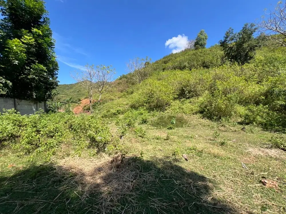 Tanah murah dekat Circuit motogp Kuta Mandalika Lombok. Cocok utk vila