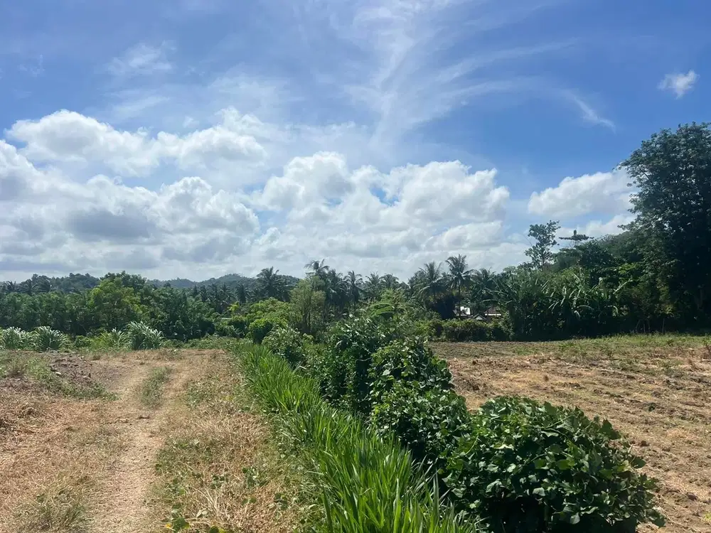 Tanah murah di Selong belanak Lombok. Cocok untuk villa atau investasi