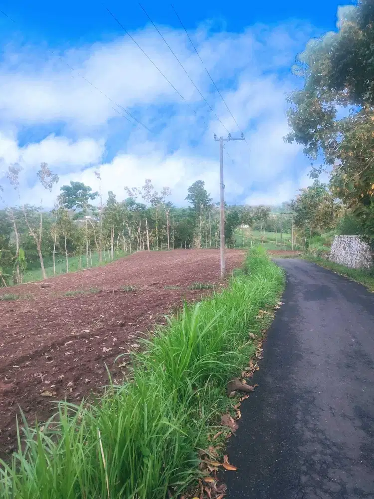 Dijual Tanah View Panorama Bondowoso