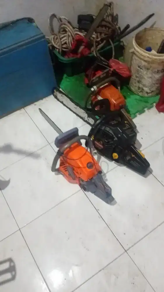 Jasa tebang pohon senso