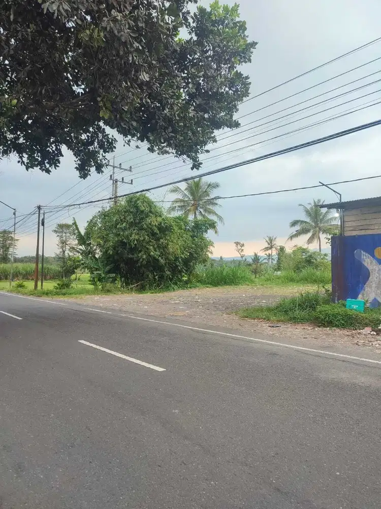 Dijual Tanah utk pergudangan di Bondowoso