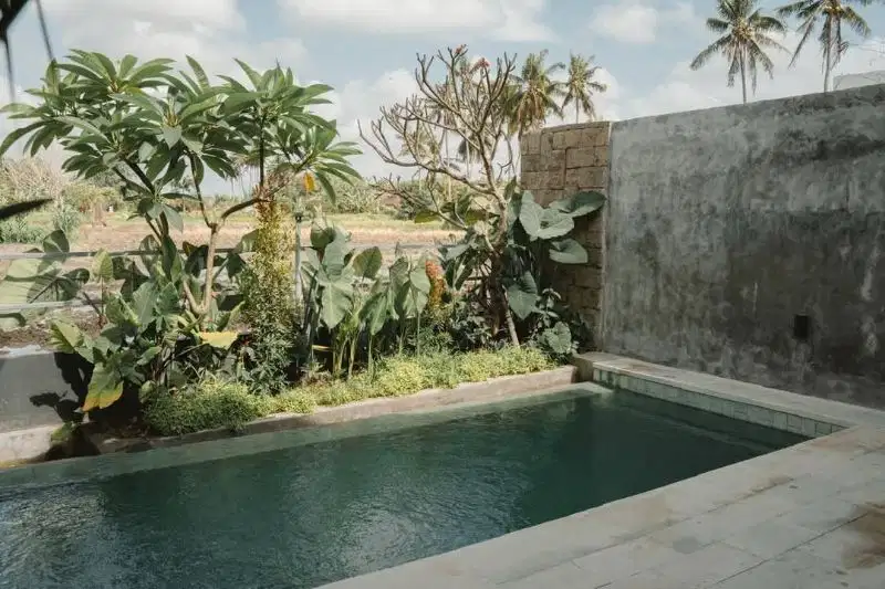 Villa For sale sakah dekat Ubud