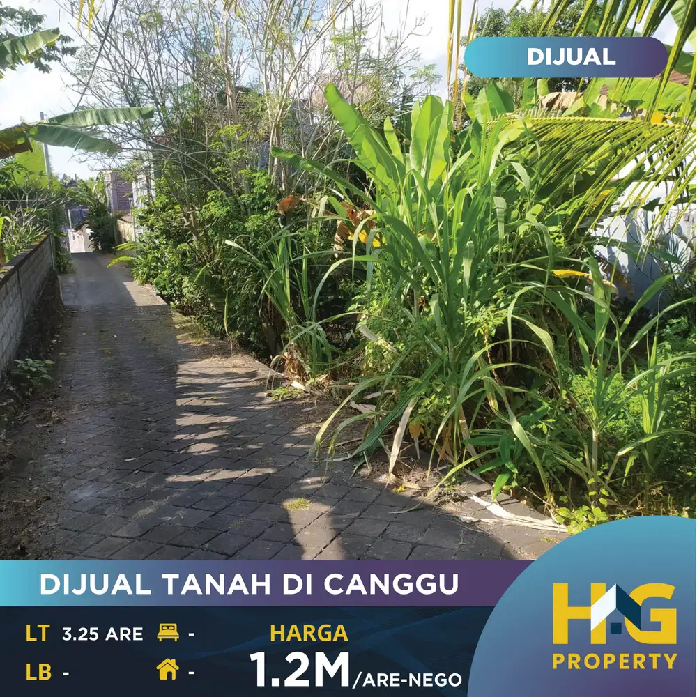 DIJUAL TANAH DI CANGGU