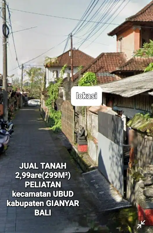 Jual Tanah 299M² Kawasan Pariwisata area di UBUD Peliatan Gianyar Bali