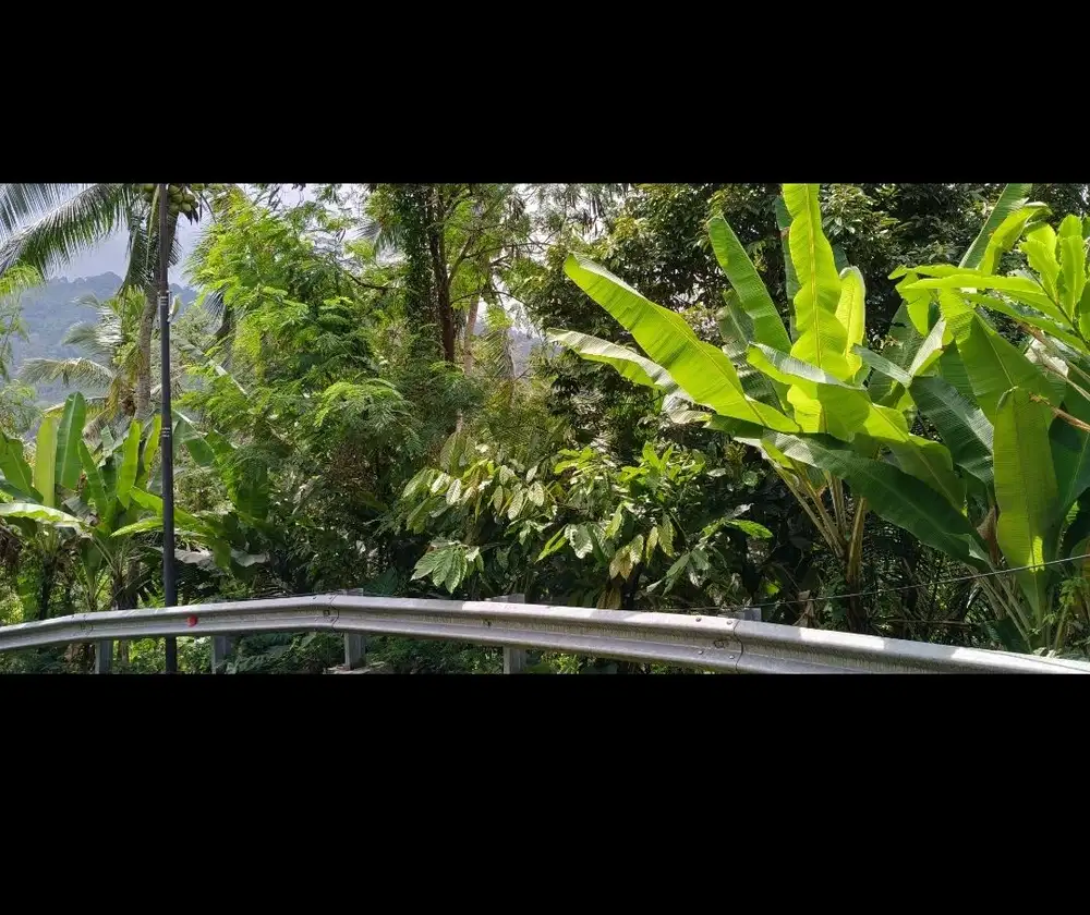 DIJUAL TANAH NEGARA MURAH