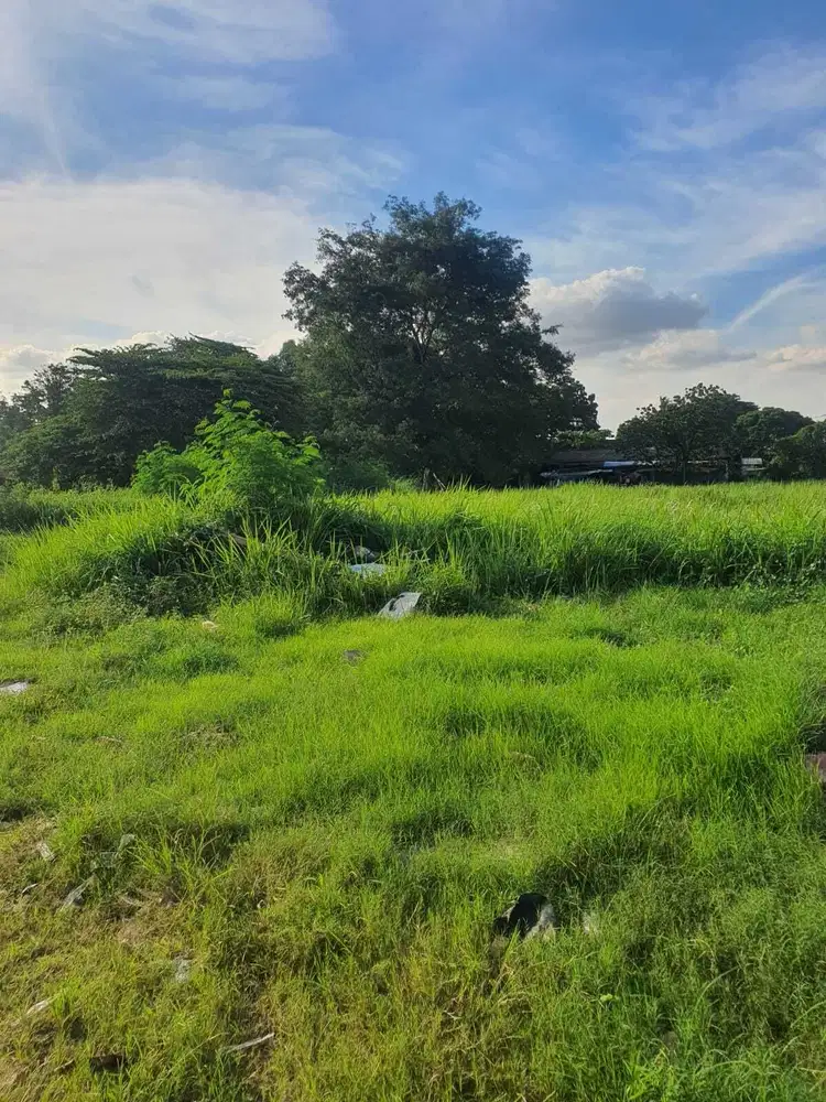 Dijual tanah seluas 4206 M² di peruntukan bangun gudang /pabrik