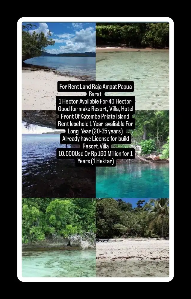 For Rent Land Raja Ampat Papua Barat  1 Hectare Avaliable For 40 Ha