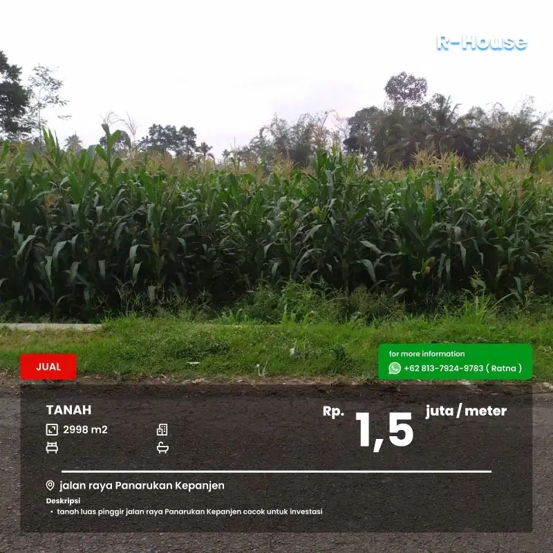 Tanah luas di poros jalan raya Panarukan Kepanjen