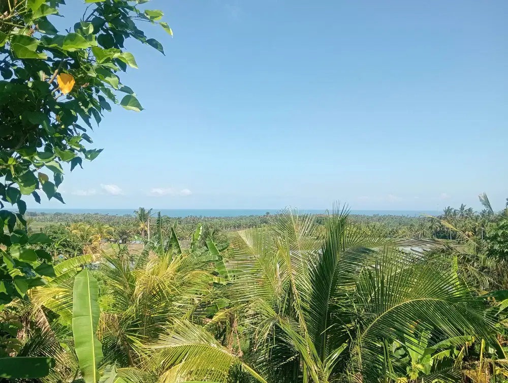 Dijual tanah dengan view laut dan hamparan persawahan terasering