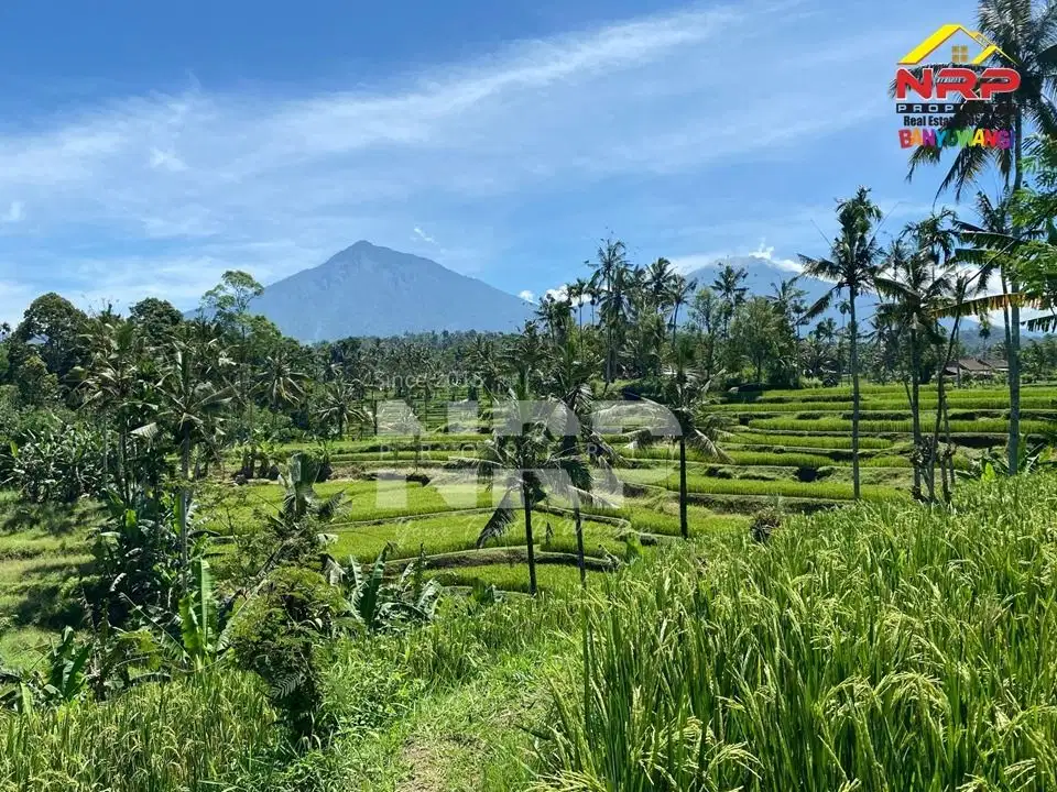 Dijual Tanah dengan View Istimewa di Licin - Banyuwangi