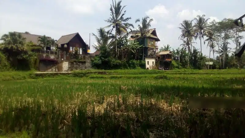 Dijual Lokasi Tanah Exclusive Di Ubud, Jl. Suweta, Junjungan Sakti - Gianyar Bali