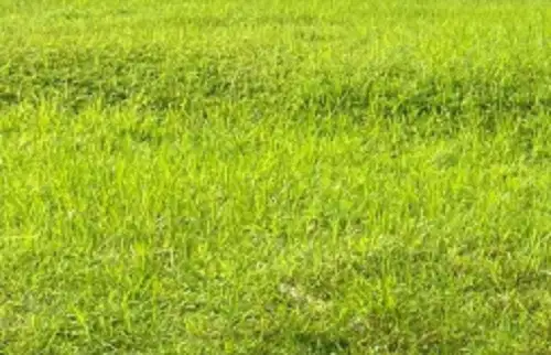 Kavling Graha Natura Lebar 16, Hadap Barat