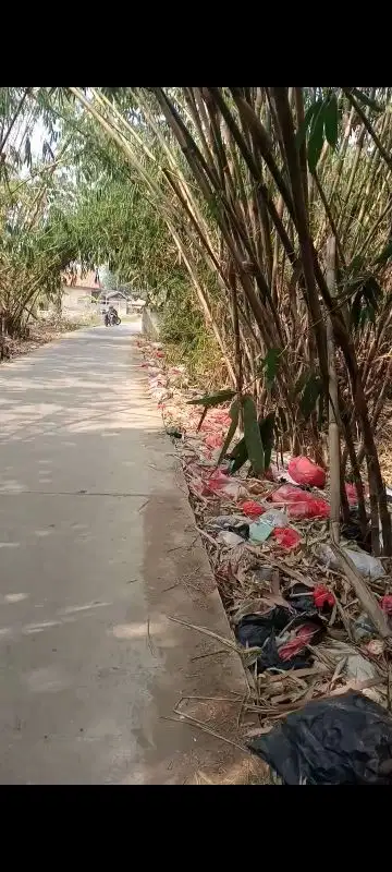 dijual tanah di cisauk