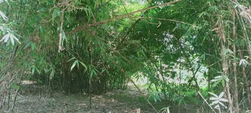 jual tanah di gunung Sindur