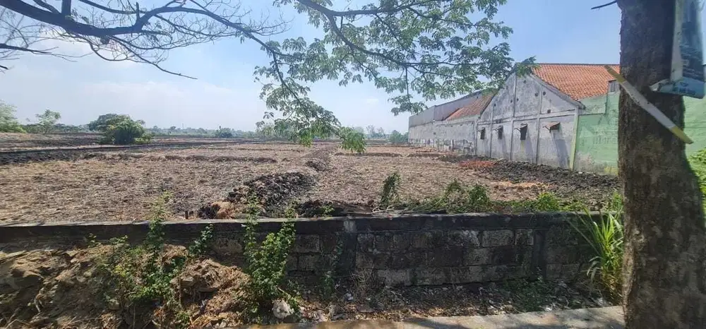 Dijual Tanah Raya Domas Menganti Gresik