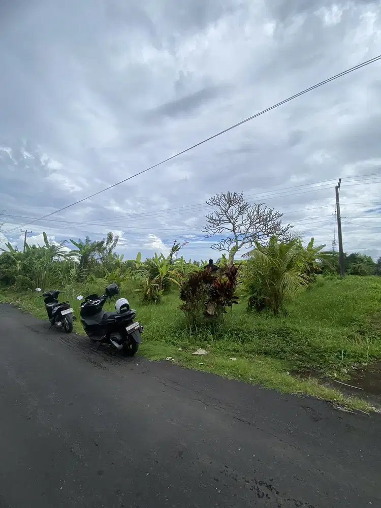 Jual tanah bajera 11are selemadeg tabanan