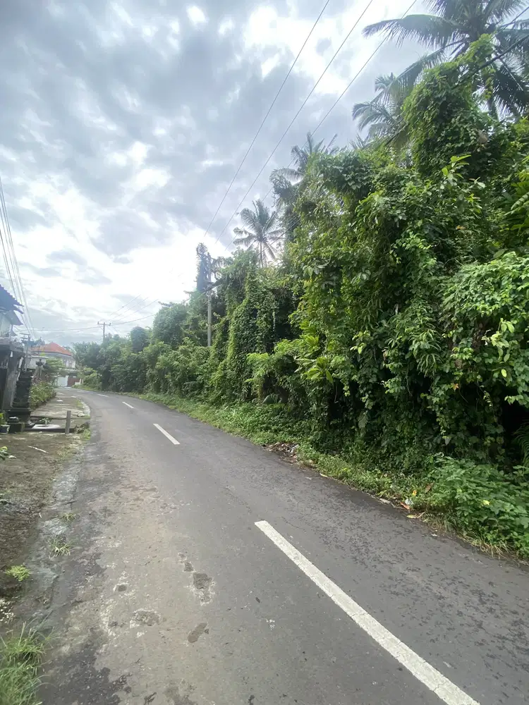 Jual tanah kerambitan tabanan