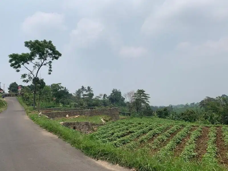 dijual tanah  di ciampea Bogor barat