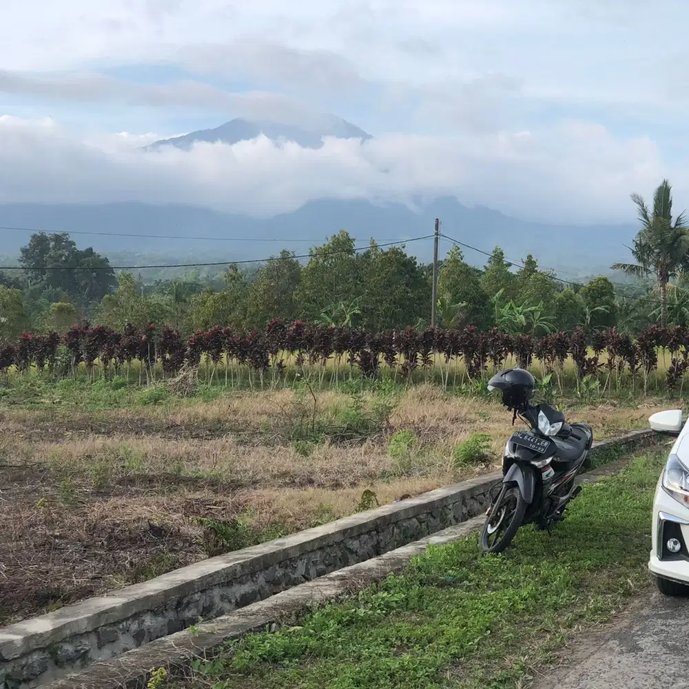 Jual tanah penebel tabanan tanah datar view gunung