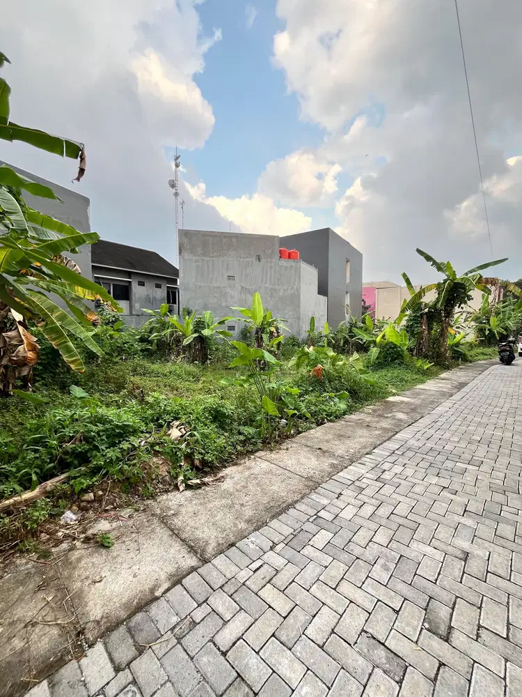 TANAH RING 1 UNDIP SIAP BANGET BANGUN KOST Bulusan Utara Tembalang