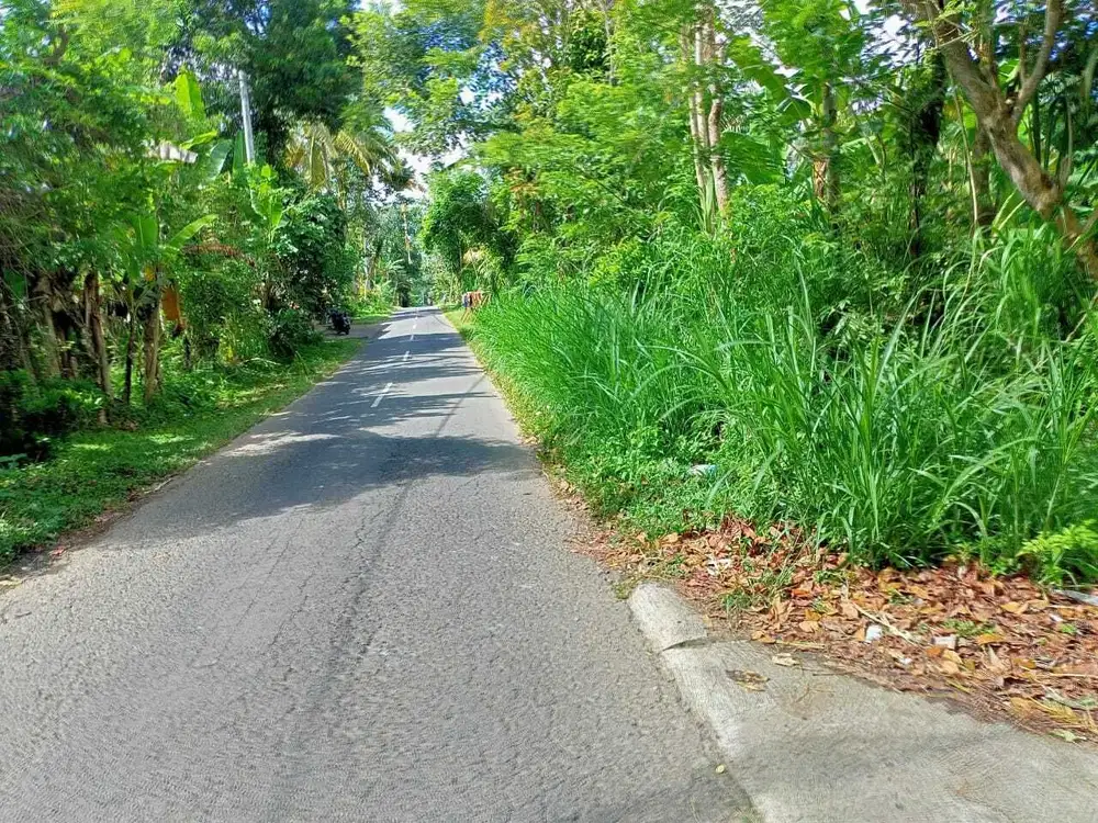 Dijual tanah Ubud taro Payangan kawasan villa dan perkebunan