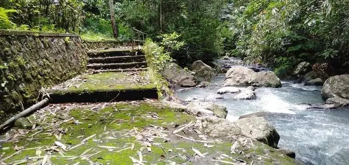 Jual tanah gunung salak selemadeg view sungai