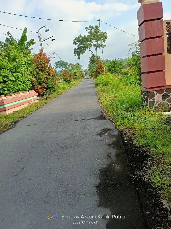 Dijual sawah dekat masjid di sekitar lapangan donoharjo jl palagan