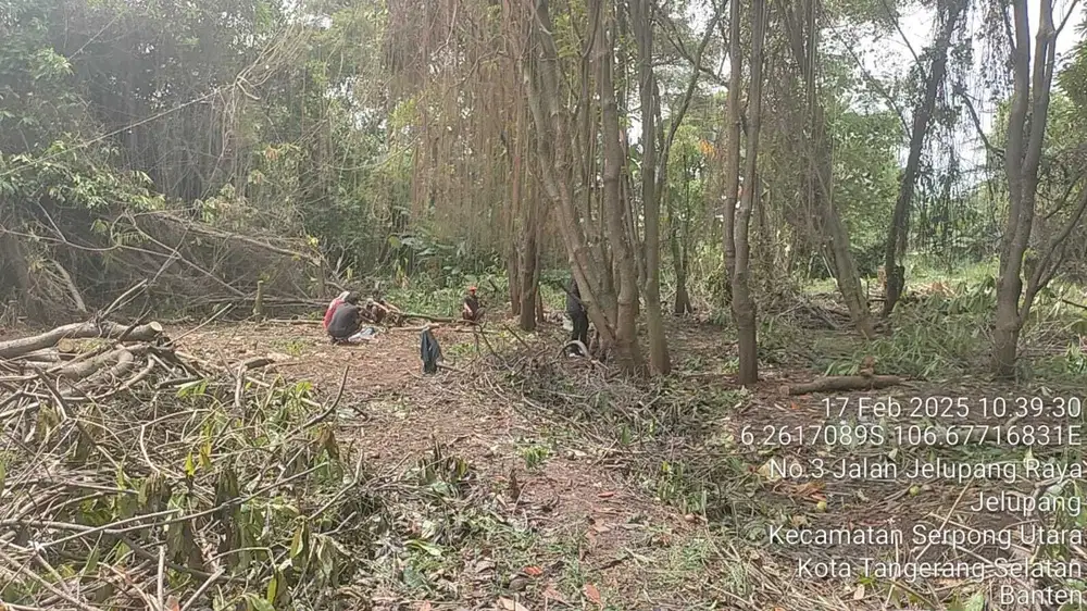 Tanah 7827 m2 Harga Terjangkau di Serpong Cocok untuk Cluster