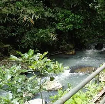 Dijual tanah kebun durian Tabanan Selemadeg