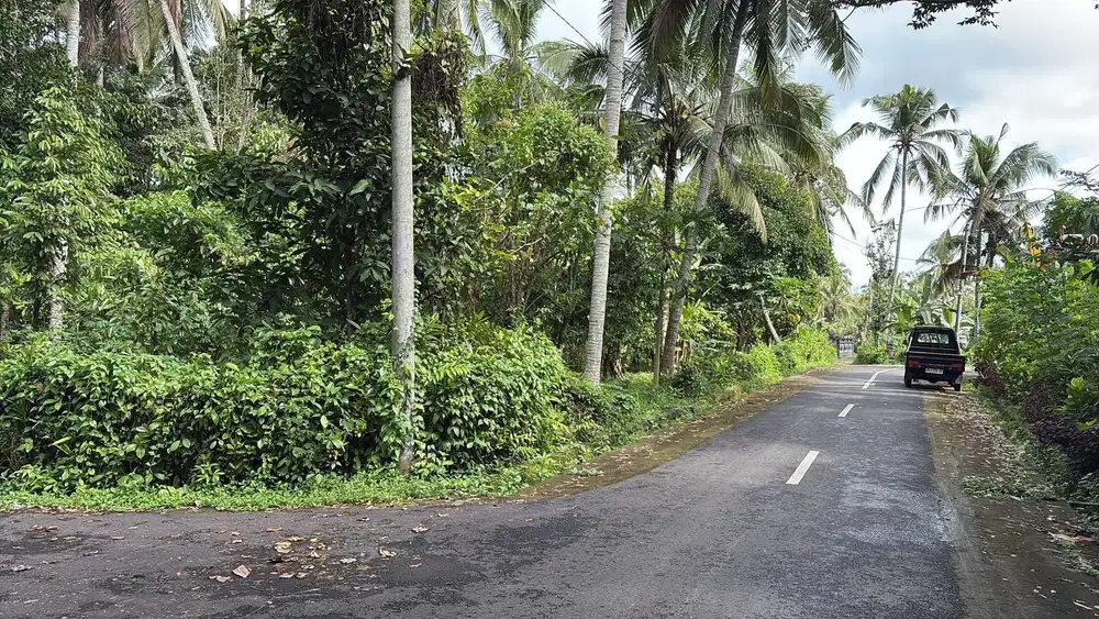 Jual tanah kerambitan tabanan 20 are