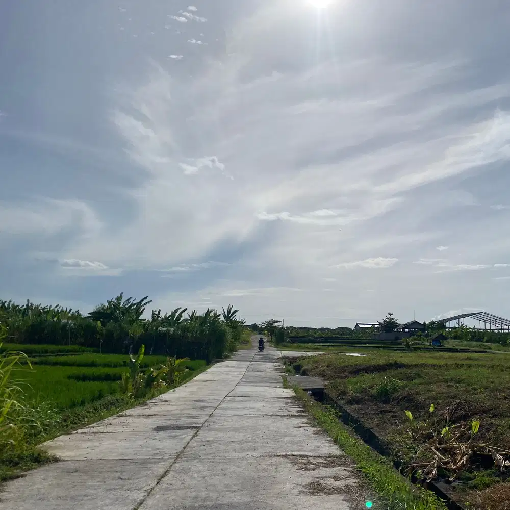 Di jual tanah lc bypas sukarno tabanan 18are