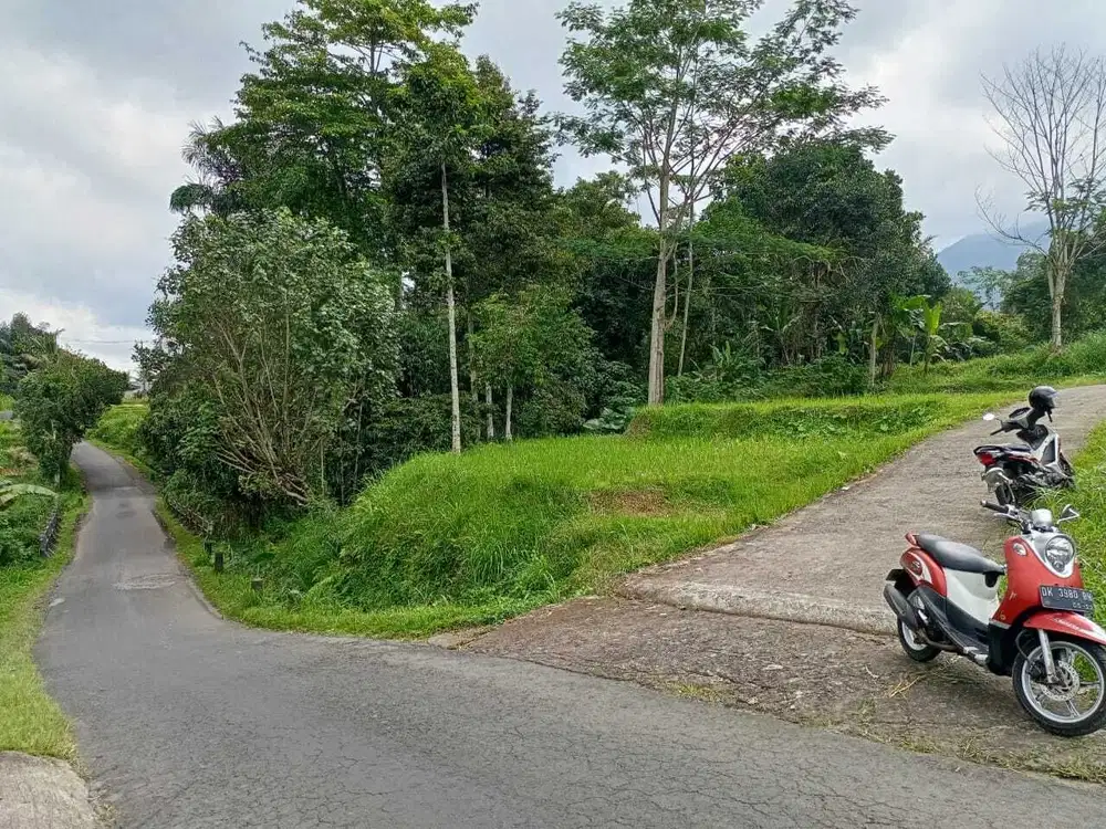 Dijual tanah  tabanan baturiti dekat taman safari baturiti